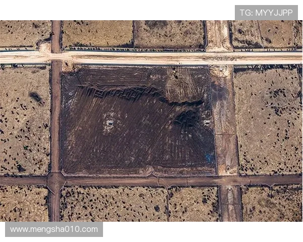 西部格局：狼复勇火追二湖稳五